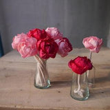 15 Peony Roses Sola Wood Diffuser Flowers 5 cm Dia. with cotton rope and adjustable wire stem dyed in Vintage Pink and Strawberry Pink
