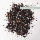 Hoya Soil Mix - Soilless Potting Mix for Indoor Tropical Houseplants, Calatheas, Ferns, and Fruits and Veggies - New Included