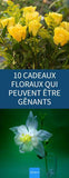 10 cadeaux floraux qui peuvent ¡§?tre g¡§?nants Flower Delivery