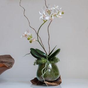 Faux pixie orchid in a molten glass on wood, Real touch pixie orchid, Orchid plant, Bespoke orchid display, Mother??s Day gift