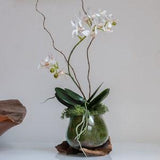 Faux pixie orchid in a molten glass on wood, Real touch pixie orchid, Orchid plant, Bespoke orchid display, Mother??s Day gift