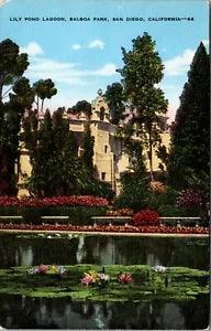 San Diego CA Balboa Lily Pond Pink Yellow Red Flowers Bldg Reflection Postcard