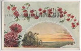 1909 - Language of Flowers - I Love You - Red Carnations - PMed Jerome + Albion