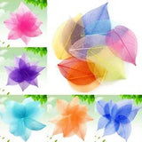 20Pcs Natural Dried Leaves Skeleton Pressed Flower Scrapbooking Bookmark Crafts