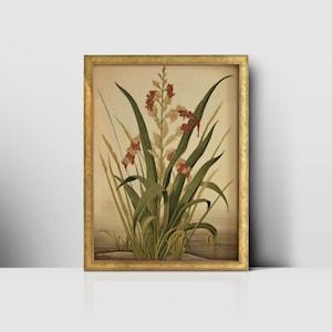 Vintage Botanical Floral Painting - Flower and Orchid Illustration - Printable Wall Art - Terrestrial Plant and Perennial Plant