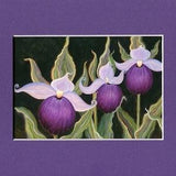 Purple Slipper Orchid Art Print - Purple Orchid Art - Purple Orchid Art Print - Purple Floral Art Print - Maine Orichid Art - Matted Print