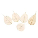 5x Leaf Pressed Card Decoration Home Jewelry Making   DIY