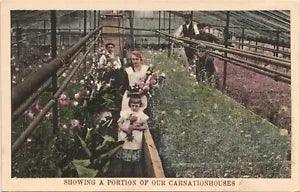 CARNATION HOUSE antique picture postcard CRESTON IOWA IA c1910 flower greenhouse