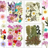 100Pcs Dried Pressed Flowers for Resin Molds, Real Pressed Flowers Dry Leaves Ki