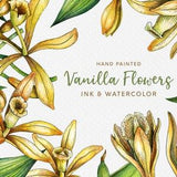 Vanilla Flower Watercolor Clipart: hand painted vanilla clipart / elegant watercolor card / watercolor vanilla pattern / vanilla watercolor