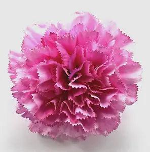 Large Deluxe 4.5" Variegated Pink Carnation Silk Flower Hair Clip #1