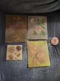 5 Lot Set Of Vintage Dried Flowers In Resin