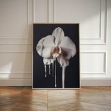 Minimalist modern print, flower market, painted orchid, orchid floral wall decor, contemporary art print, botanical decor, botanical art