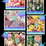 Pastel Flowers SEED Collection, High Quality, Non-GMO, Untreated, Annual, Perennial, New