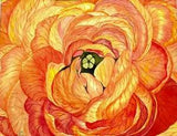 PAINTING WATERCOLOR ORIGINAL ART RANUNCULUS FLOWER ORANGE YELLOW 11x14 MAT 16X20