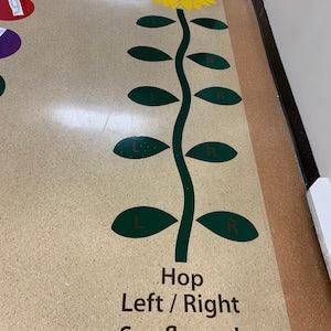 Left / Right Sunflower Hop