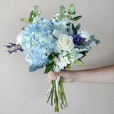 Coastal Vibes DIY Hydrangea Flower Pack - Small Combo Pack Flower Delivery