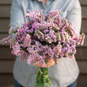 50 Forever Happy Statice Seeds / Limonium Sinuatum / Bouquet Flowers / Cut Flowers / Wildflowers / English Garden / Cottage Flower