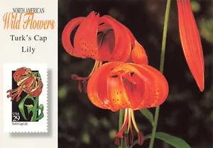 Postcard USPS United States Postal Service Stamps Mail Flowers Turk's Cap Lily