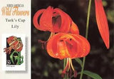 Postcard USPS United States Postal Service Stamps Mail Flowers Turk's Cap Lily