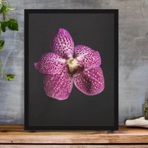 Tranquil Blooms: Handcrafted Purple Orchid Poster for Minimalist Decor