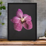 Tranquil Blooms: Handcrafted Purple Orchid Poster for Minimalist Decor