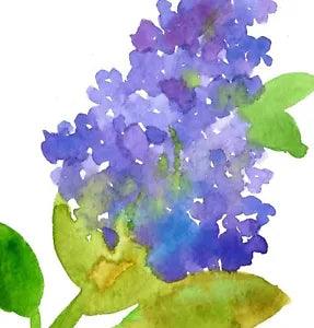 Lilacs Greeting Card Set Of Four Watercolor Cornflowers Lily of the Valley