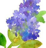 Lilacs Greeting Card Set Of Four Watercolor Cornflowers Lily of the Valley