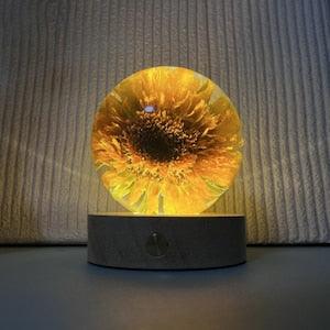 Teddy Bear Sunflowers Preserved in Resin Sunflowers Gifts with light,Anniversary Gifts for her/ him Best friend Gifts