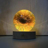 Teddy Bear Sunflowers Preserved in Resin Sunflowers Gifts with light,Anniversary Gifts for her/ him Best friend Gifts