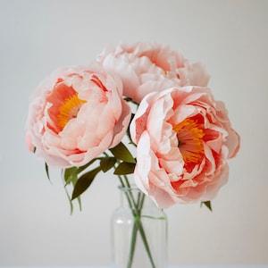 Crepe Paper Peony  ?? Blush Cream Peony Bouquet ?? Home Decoration ?? Birthday Gift ?? Graduation Gift ?? Wedding Flowers ?? Anniversary