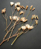 Dried Pressed Flowers Resin Card Making Materials Natural Colors Durable Florals
