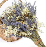 Dried Lavender Flowers & Gypsophila Baby'S Breath Bundles 100% Natural Bouquet f