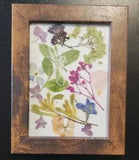 Framed Pressed Flowers 7"?? 5"(Handmade) Collage  Hydrangea Delphinium f
