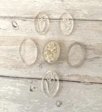 Acrylic Flower Etched Pressed Oval Pieces Artwork 6pc Set Wall Art