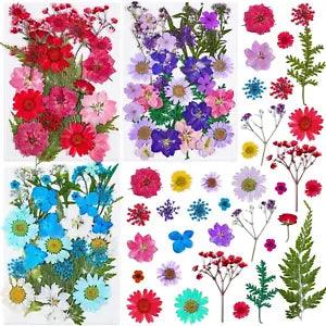 100Pcs Pressed Dried Flowers for Resin Molds, Natural Dried Flower Herbs Kit for