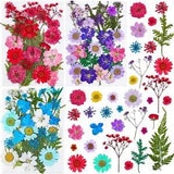 100Pcs Pressed Dried Flowers for Resin Molds, Natural Dried Flower Herbs Kit for