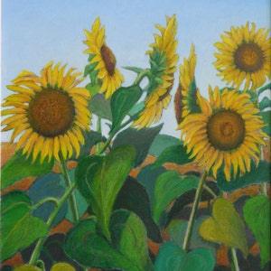 Sunflower Painting, Large Painting, Oil Painting, Original Painting, Flower Painting, Yellow Flower Painting, Audet, "Head To Head", 20x24