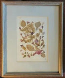 Framed Dried Flowers And Leaves