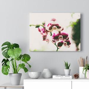 Orchid Flower Wall Decor mauve, beige, ruby red  high resolution photo Printed on ready to hang canvas