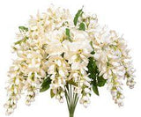 Hanging Wisteria Bush x9, 19" - Cream Flower Delivery