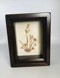 Vintage Dried Pressed Flowers Picture Framed Shadow Box 5.5 X 4.25 In