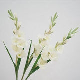 Gladiola Flower Long Stem with Bud, Artificial Bloom Craft, Home Floral Decor, Faux Tropical Plant, Bridal Bouquet Filler, Real Touch Petals