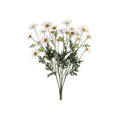 Designer Clothes, Shoes & Bags for Women | SSENSE Flower Delivery