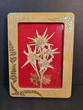 Swiss Edelweiss Dried Flowers Wall Hanging Switzerland Ornate Frame