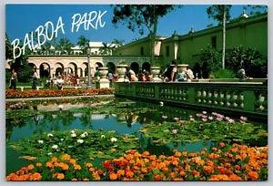 CA San Diego Balboa Park Floral Flower Displays Lily Pads Postcard View 4x6
