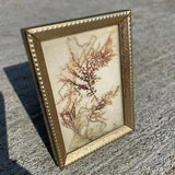 Vintage Small Dried Live Pressed Flowers Branches Art Brass Framed Signed BLN