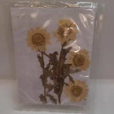Botanical - Real Pressed & Dried Flower Sticker Crafts Yellow Flowers