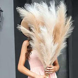 PERFIQUE Faux Pampas Grass, 43'' Artificial Flowers, Set of 3 Stems Beige