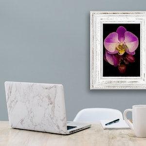 Orchid #5 -Hand Matted Photographic Print -Fast & Free US Shipping!